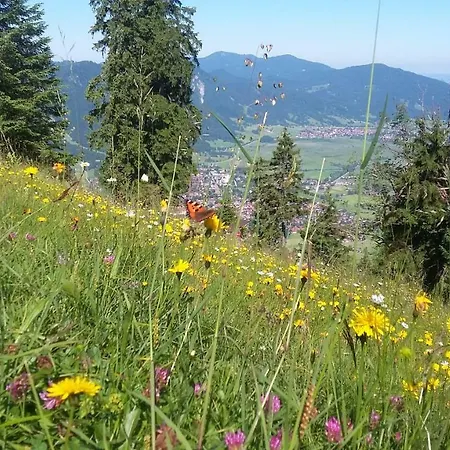 Ferienwohnung Bergnah Bad Kohlgrub