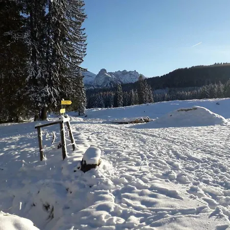 Ferienwohnung Bergnah Bad Kohlgrub
